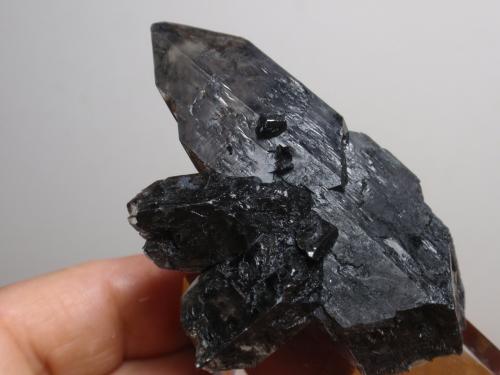 Yeso<br />Montalbán, Comarca Cuencas Mineras, Teruel, Aragon, Spain<br />40x70 mm<br /> (Autor: Ignacio)