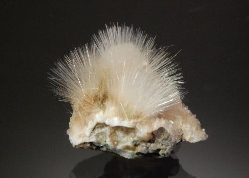 Mesolite<br />Cantera Upper Ritter, Ritter, Condado Grant, Oregon, USA<br />2.5 x 2.0 cm<br /> (Author: Michael Shaw)