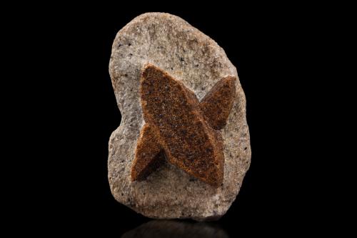 Staurolite<br />Pestsovye Keivy, Montes Keivy, Península Kola, Murmanskaja Oblast, Región Norte, Rusia<br />6 x 4 x 2 cm / main crystal: 4.0 cm<br /> (Author: MIM Museum)