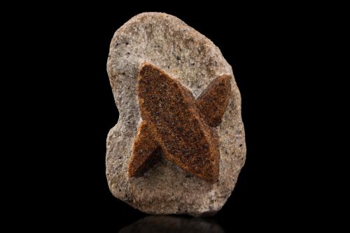 Staurolite<br />Pestsovye Keivy, Keivy Mountains, Kola Peninsula, Murmanskaja Oblast, Northern Region, Russia<br />6 x 4 x 2 cm / main crystal: 4.0 cm<br /> (Author: MIM Museum)