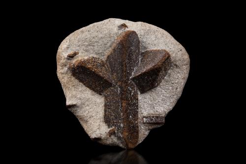 Staurolite<br />Pestsovye Keivy, Keivy Mountains, Kola Peninsula, Murmanskaja Oblast, Northern Region, Russia<br />7 x 7 x 3 cm / main crystal: 6.1 cm<br /> (Author: MIM Museum)