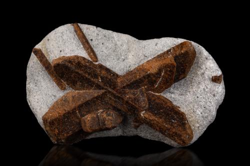 Staurolite<br />Pestsovye Keivy, Keivy Mountains, Kola Peninsula, Murmanskaja Oblast, Northern Region, Russia<br />9.5 x 5.5 x 3 cm / main crystal: 7.7 cm<br /> (Author: MIM Museum)