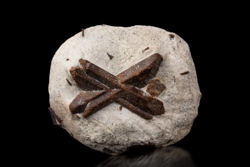 Staurolite<br />Pestsovye Keivy, Keivy Mountains, Kola Peninsula, Murmanskaja Oblast, Northern Region, Russia<br />10.5 x 9 x 4 cm / main crystal: 7.0 cm<br /> (Author: MIM Museum)