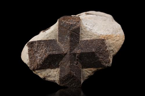 Staurolite<br />Pestsovye Keivy, Keivy Mountains, Kola Peninsula, Murmanskaja Oblast, Northern Region, Russia<br />10.5 x 14.5 x 8 cm / main crystal: 10.0 cm<br /> (Author: MIM Museum)