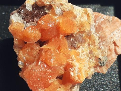 Tinzenite<br />Mina Molinello, Valle Graveglia, Ne, Provincia Génova, Liguria, Italia<br />2,7 x 2,5 cm<br /> (Author: Volkmar Stingl)