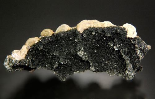 Siderite and Clinochlore<br />Minas da Panasqueira, Aldeia de São Francisco de Assis, Covilhã, Castelo Branco, Cova da Beira, Centro, Portugal<br />12.3 x 5.1 x 3.1 cm<br /> (Author: Michael Shaw)