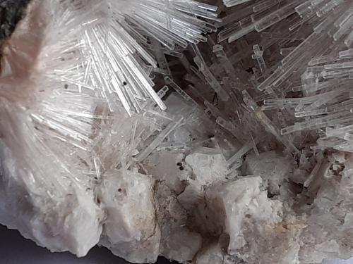 Natrolite, Analcime<br />Piz Sella, Plan de Gralba, Selva di Val Gardena, Provincia Trento, Trentino-Alto Adige (Trentino-Südtirol), Italia<br />5,5 x 4,5 cm<br /> (Author: Volkmar Stingl)