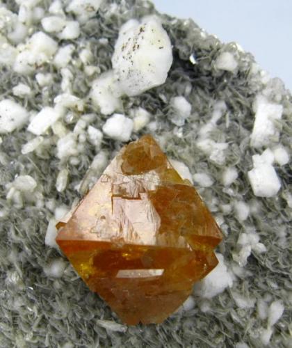 Scheelite, albite. muscovite
Xuebaoding, Huya, Pingwu, Mianyang, Sichuan, China
105 mm x 80 mm

Close-up view (Author: Carles Millan)