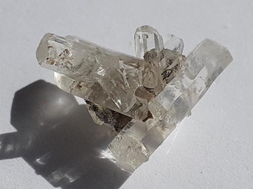 Gypsum (variety selenite)<br />Zimmersrode Quarry, Borken, Schwalm-Eder District, Kassel, Hesse/Hessen, Germany<br />1,5 x 1,5 cm<br /> (Author: Volkmar Stingl)