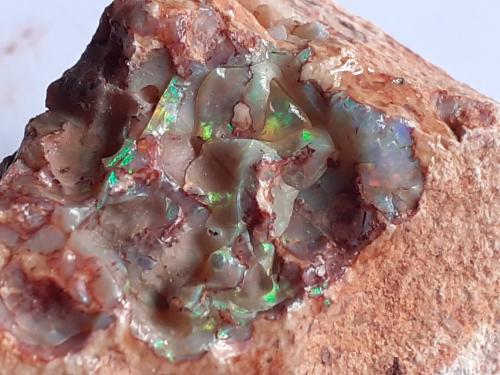 Opal<br />Mina la Carbonera, La Trinidad, Municipio Tequisquiapan, Querétaro, México<br />FoV 2,5 x 2 cm<br /> (Author: Volkmar Stingl)