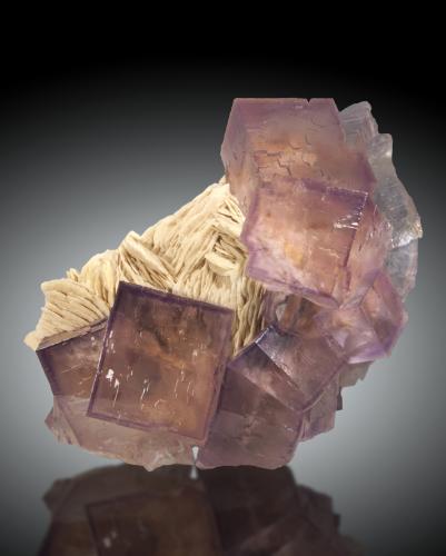 Fluorita, Barita<br />La Cabaña, zona minera de Berbes, Valdelmar, Berbes, Ribadesella, Comarca Oriente, Principado de Asturias (Asturias), España<br />13x9cm, cristales hasta 4cm de arista<br /> (Autor: Raul Vancouver)