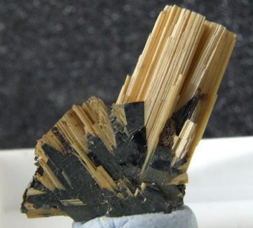 Rutile on Hematite
Novo Horizonte, Brazil 
It measures 17mm from the base to the top of the rutile, the best thing for me about this is it is under 2mm thick. (Author: nurbo)