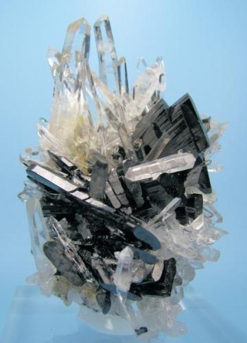 Hübnerite, quartz
Mundo Nuevo mine, Huamachuco, Sánchez Carrión, La Libertad, Peru
84 mm x 57 mm (Author: Carles Millan)
