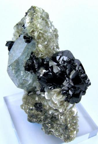 Cassiterite, beryl, muscovite
Mt Xuebaoding, Pingwu Co., Mianyang Prefecture, Sichuan Province, China
100 mm x 50 mm (Author: Carles Millan)