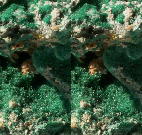 Malachite needles on matrix; Tsumeb Mine, Otawi highlands, Namibia.
65x52x40mm, 184g. GN’s collection id 09NAMm001.
Taken in direct sunlight. Close-up stereo pair. (Author: Gerhard Niklasch)