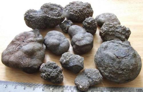 Marcasite nodules Weardale UK largest 75 x 50 mm (With lense ding top centre) (Author: nurbo)