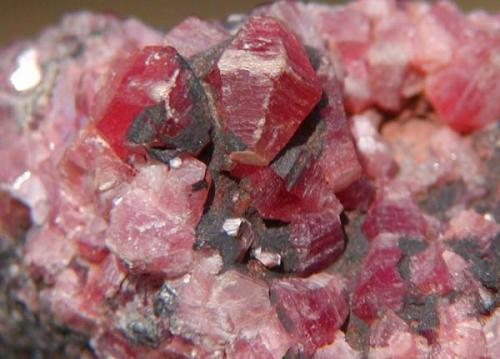 Ephesite (Mica)
Postmasburg Manganese Fields, Northern Cape, S. Africa.
Crystals to 1cm (Author: Debbie Woolf)