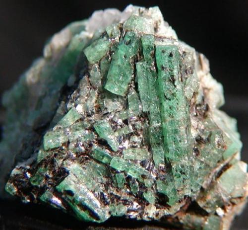 Emeralds in Biotite Schist. 
Cobra Pit, Gravelotte Emerald Mine, Limpopo Province, S. Africa
2.7 x 2.3 x 2.5cm
Crystals to 1.6cm (Author: Debbie Woolf)