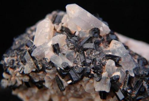 Schorl on clear Quartz to 1.5 cm. on Feldspar. 
Klein Spitzkoppe, Erongo Region, Namibia.
Crystals of Schorl to 1.1cm (Author: Debbie Woolf)