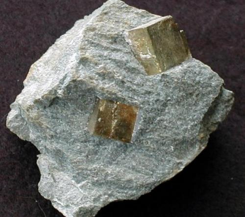 They may not be in the same league as pyrite from Navajun - but i guarantee not as many folks have these! collected from a Gold mine in Snowdonia, North Wales, the Pyrites crystals are about 1cm on edge. (Author: Colleen Thomson)