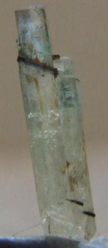 Jeremejevite,with schorl? Erongo, 9 x 2 x 2 mm (Author: nurbo)