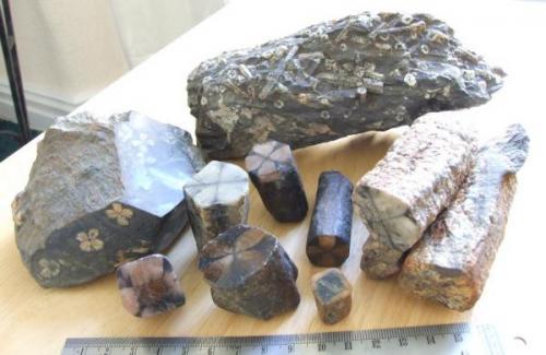 Andalusite var chiastolite, various localitites ruler for scale (Author: nurbo)