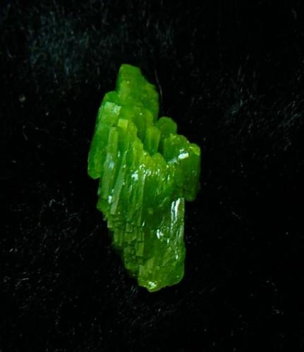 single crystal of pyro from les farges 1,8cm (Author: parfaitelumiere)