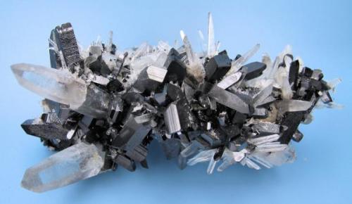 Hübnerite, quartz
Mundo Nuevo Mine (Labor Toro), Huamachuco, La Libertad, Peru
100 mm x 60 mm (Author: Carles Millan)