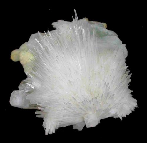 Scolecite, apophyllite-(KF), gyrolite
Malad, Ward 38, Mumbai, Maharashtra, India
65 mm x 75 mm x 55 mm (Author: Carles Millan)