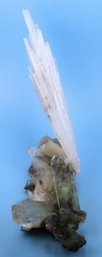 Scolecite, apophyllite-(KF), stilbite
Pune District (Poonah District), Maharashtra, India
158 mm x 40 mm (Author: Carles Millan)