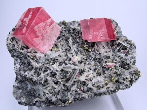 Rhodochrosite, quartz, pyrite, sphalerite, tetrahedrite
01-04 Pocket, Fluorite Raise, Sweet Home Mine, Alma, Colorado, USA
73 mm x 56 mm x 39 mm (Author: Carles Millan)