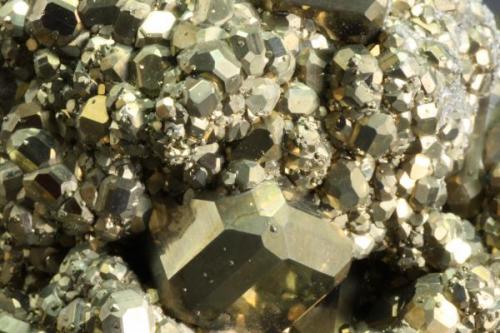 07 Pyrite Nanisivik 03.JPG (Author: Matt_Zukowski)