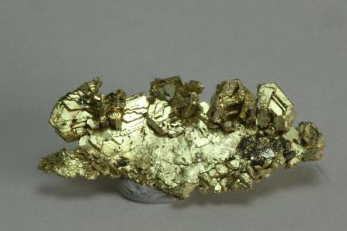 Gold Round Mountain Mine 3.0 cm, 3.6g (Author: Matt_Zukowski)