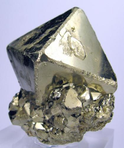 Pyrite
Mina Huanzala, Huallanca, Dos de Mayo, Huánuco, Peru
64 mm x 56 mm. Main crystal: 52 mm tall, 42 mm on edge (Author: Carles Millan)