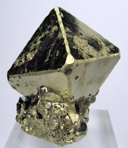 Pyrite
Mina Huanzala, Huallanca, Dos de Mayo, Huánuco, Peru
64 mm x 56 mm. Main crystal: 52 mm tall, 42 mm on edge (Author: Carles Millan)