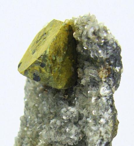 Kësterite, mushistonite
Mt Xuebaoding, Pingwu Co., Mianyang Prefecture, Sichuan Province, China
60 mm x 45 mm. Kësterite crystal size: 15 mm wide

Close-up view (Author: Carles Millan)