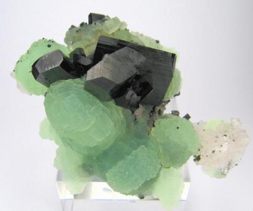 Babingtonite, prehnite, quartz
Qiaojia, Zhaotong, Yunnan, China
71 mm x 55 mm. Major crystal size: 22 mm on edge (Author: Carles Millan)