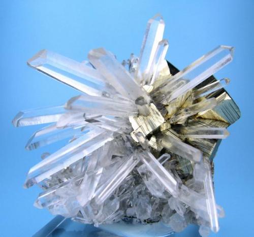 Quartz, pyrite
Huaron, San Jose de Huayllay, Cerro de Pasco, Daniel Alcides Carrion, Pasco, Peru
54 mm x 53 mm (Author: Carles Millan)