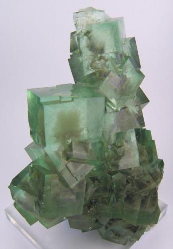 Fluorite
Xianghuapu Mine, Lingwu, Lanshan, Chenzhou, Hunan, China
113 mm x 80 mm x 52 mm (Author: Carles Millan)