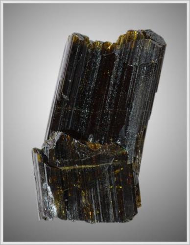 Epidote - Knappenwand - found on my own - Size: about 3.2 cm x 2.5 cm x 0.5 cm (Author: jaysminerals)