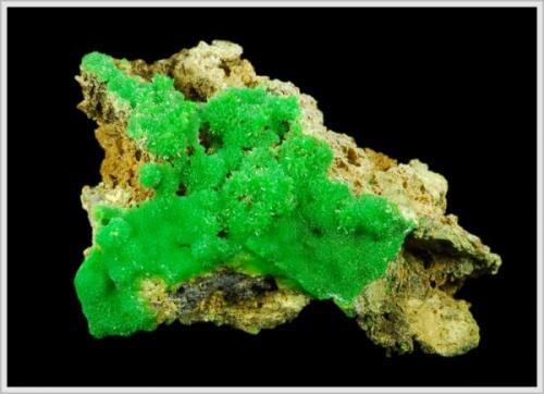 Pyromorphite - Schau ins Land Mine - Hofsgrund - Blackforrest - Germany - minature (5.3 x 2.9 x 3.5 cm) (Author: jaysminerals)