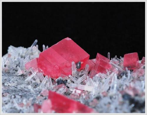 Rhodochrosite with Quartz - Sweet Home Mine - Colorado - Crystalsize 0.7 cm (Author: jaysminerals)