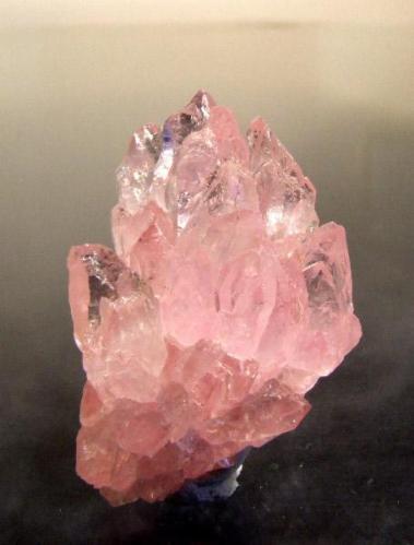 Quartz var. rose Quartz
Galilea. Doce Valley. Minas Gerais. Brazil
4.3 cm (Author: Jon Mommers)