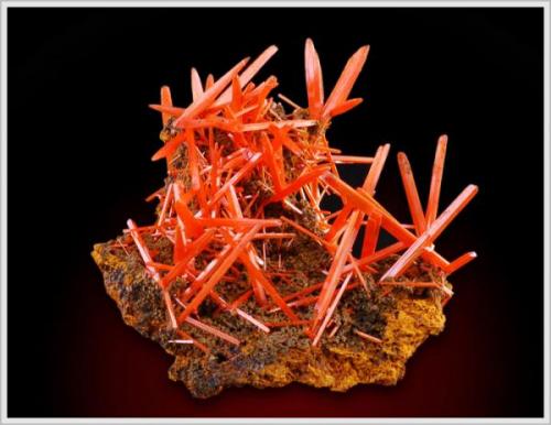 Crocoite - The Adelaide Mine - Dundas - Tasmania - minature (4.0 x 4.0 x 2.5 cm) (Author: jaysminerals)