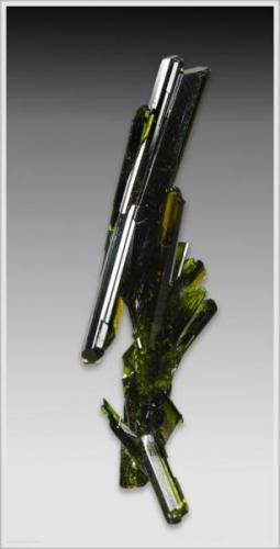 Epidote - Knappenwand - Untersulzbachtal - Austria - miniature (3.9 cm x 0.8 x 1.2cm) (Author: jaysminerals)