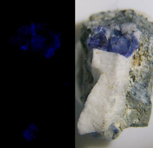 Benitoite on/in Natrolite on matrix, with minor brown grains of a Joaquinite group mineral; Dallas Gem Mine,  San Benito Co., California, USA.
Length of specimen about 15mm, Benitoite xx to 3mm. GN’s collection id 09USBnjm2.
Stereo microscope, eyepiece projection; halogen incandescent light with white LED fill-in / blue fluorescence under shortwave UV. (Author: Gerhard Niklasch)