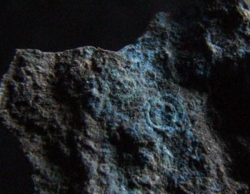 Strange radial Azurite on matrix, FOV 10 x 12 mm, Sykes Mine, Bowland Lancashire, Collected 2009. (Author: nurbo)