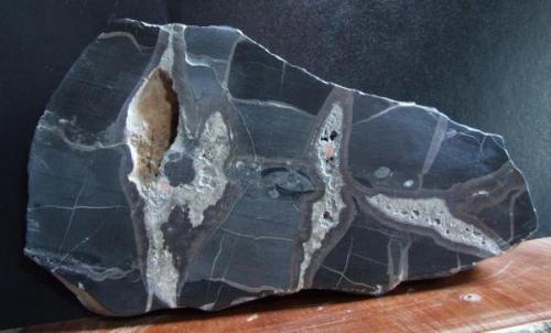 Cut and Polished Septarian mudstone, 270 x 125 mm, Roeburndale Lancashire, Collected  2005. (Author: nurbo)