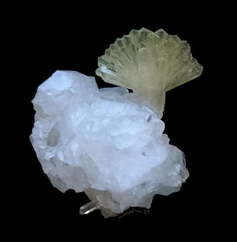 Adamite on hemimorphite
Mexico 
2,2cm (Author: parfaitelumiere)