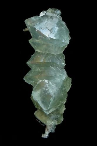 Prehnite
Cut from a ugly larger piece (Author: parfaitelumiere)